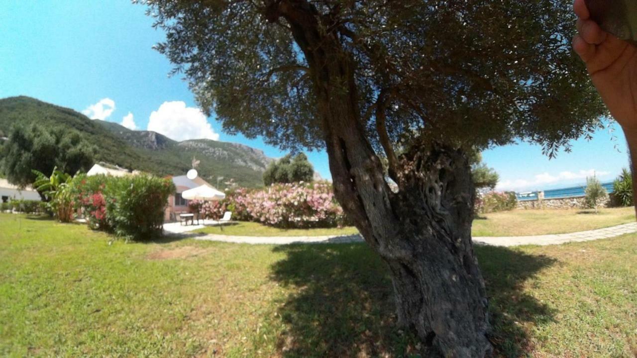 Beach Holiday Apartment, Corfu,greece Holiday home Barbati